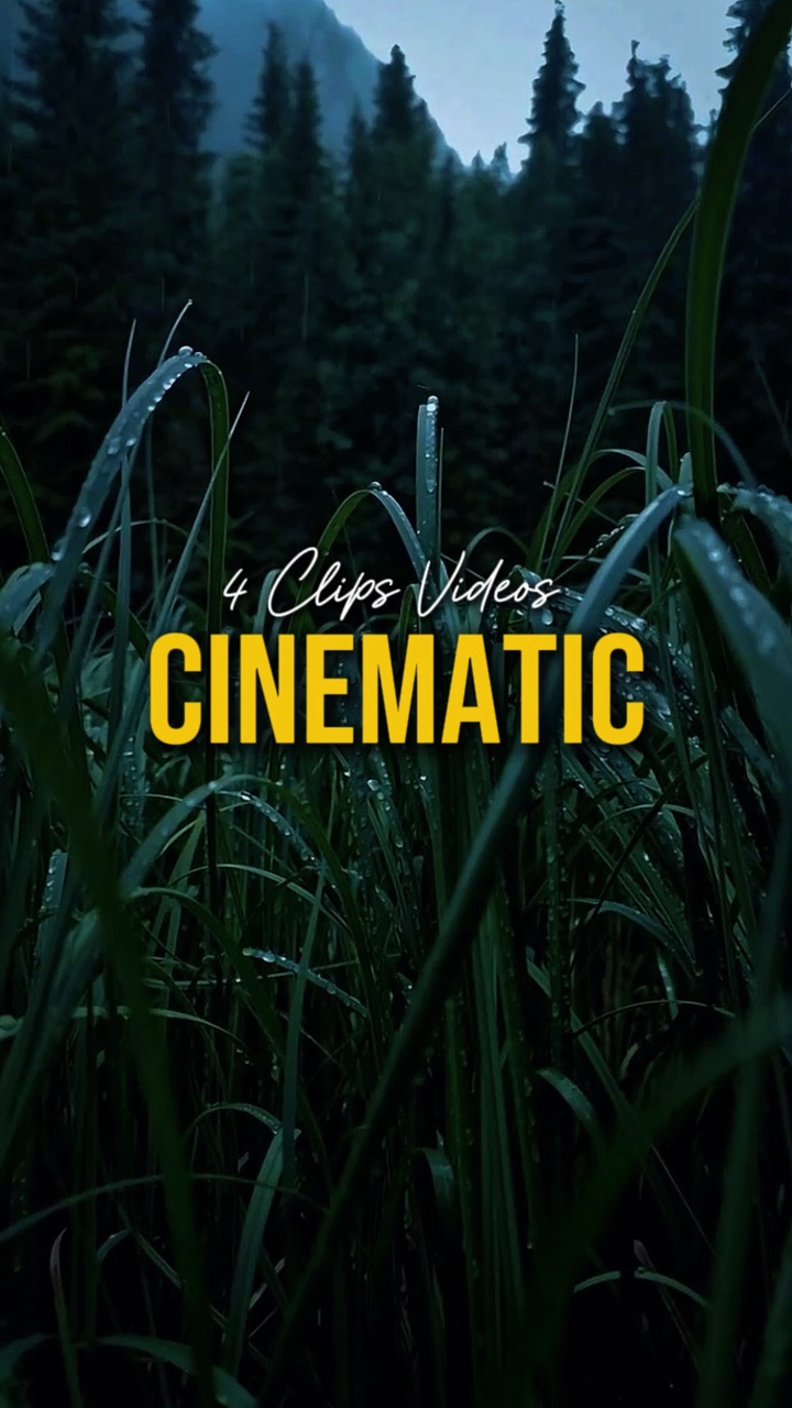 Cinematic 4 Videos 