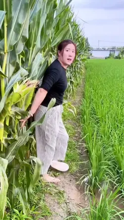 Funny sample