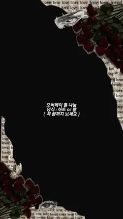 오버레이 틀 나눔