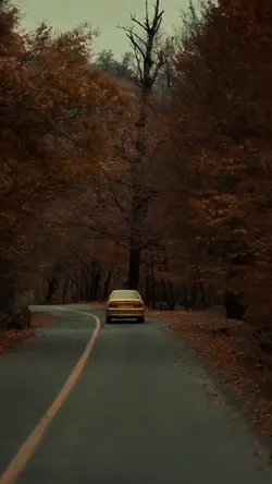 Nostalgic❤️‍🔥