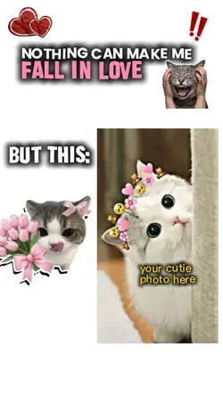 CAT CUTE TEMPLATE 🐱