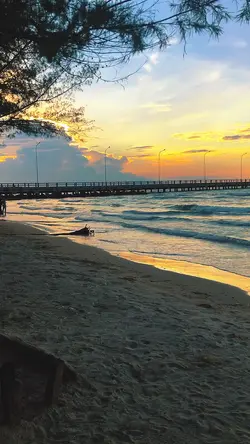 Filter senja
