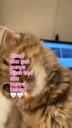 dilan? aku ga punya