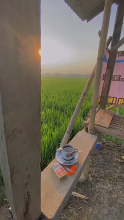 empat mata