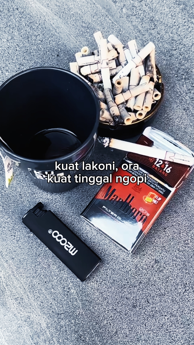 foto live kata kata 