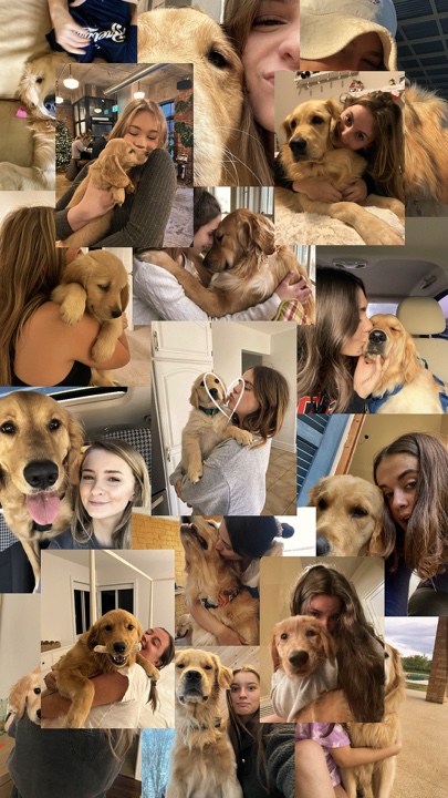 My pets