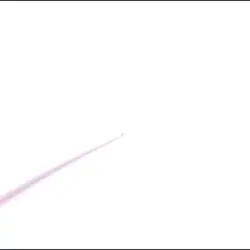 비비디바비부 ~