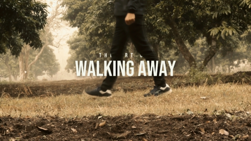 The art of walking