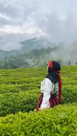 Dağlarun dumani🫶