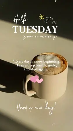 Hello Tuesday ❤️