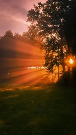 nature vibes
