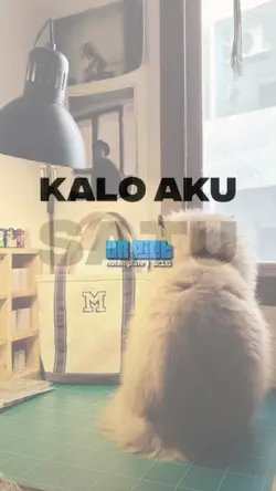 cu cu cukup aku saja