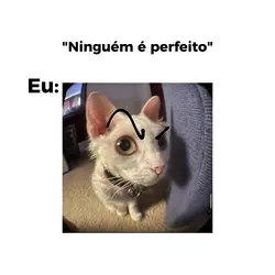 ninguém é perfeito e