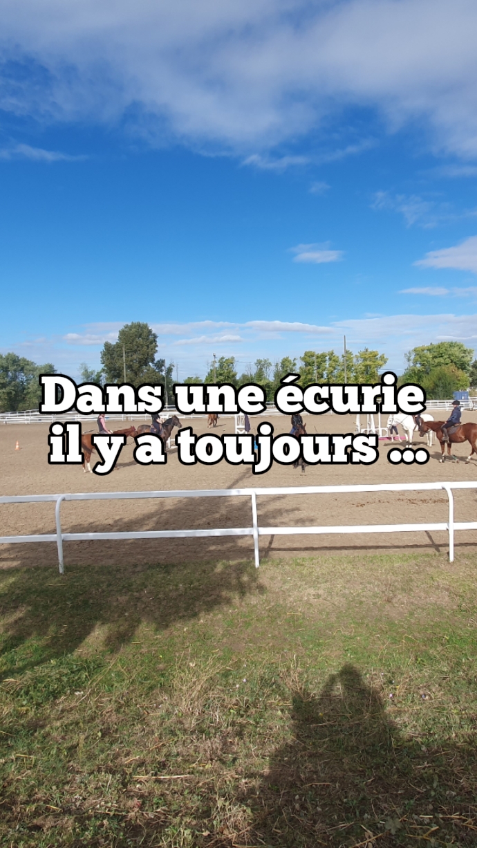 dans une écurie...