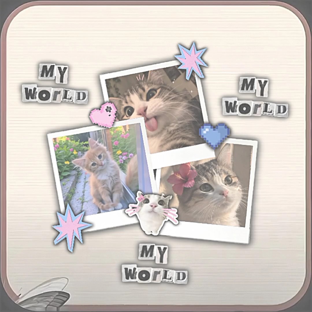 Cat Lover Template 