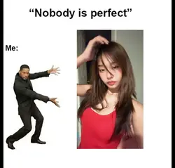 nobody is perfect