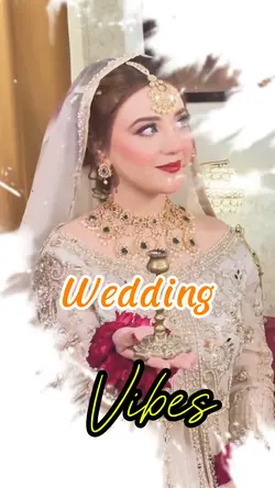 Wedding Transitions
