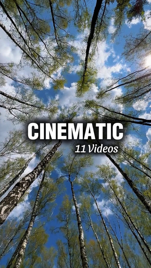 Cinematic 11 Vídeos