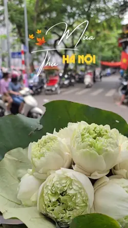 Mẫu mùa thu Hà Nội