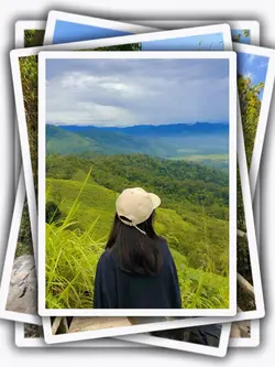 7Pic Frame Aesthetic