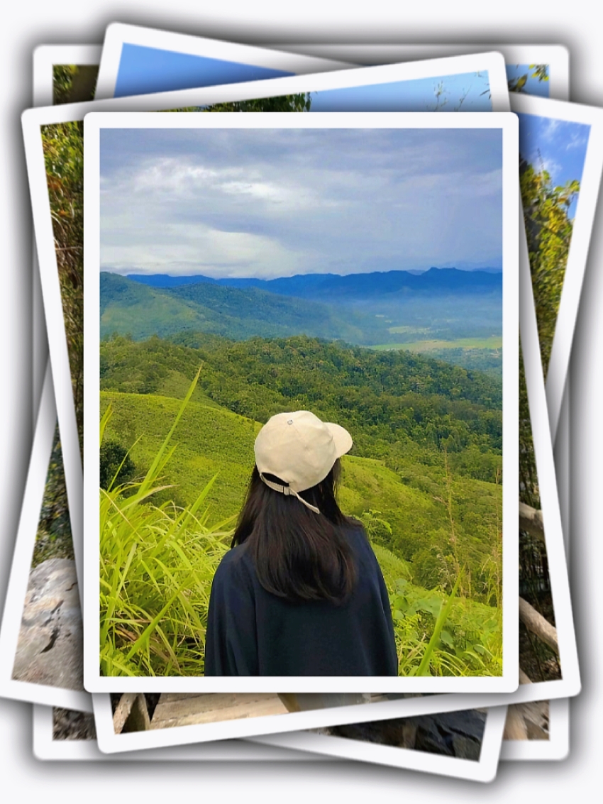 7Pic Frame Estética