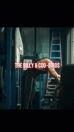 BILLY & COO BIRDS