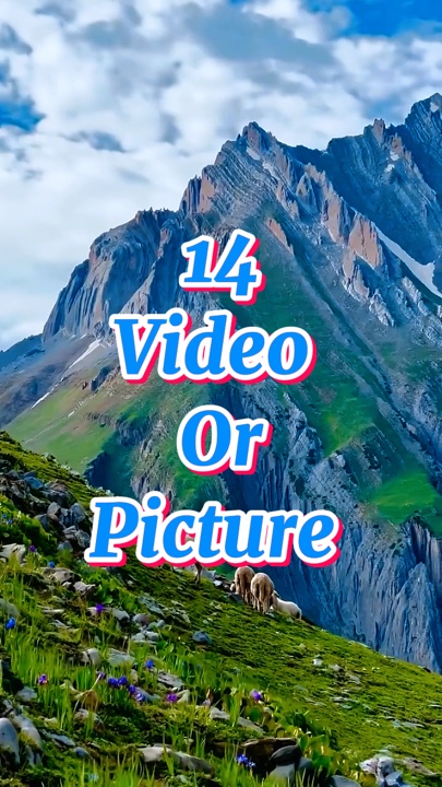 14 video or picture 