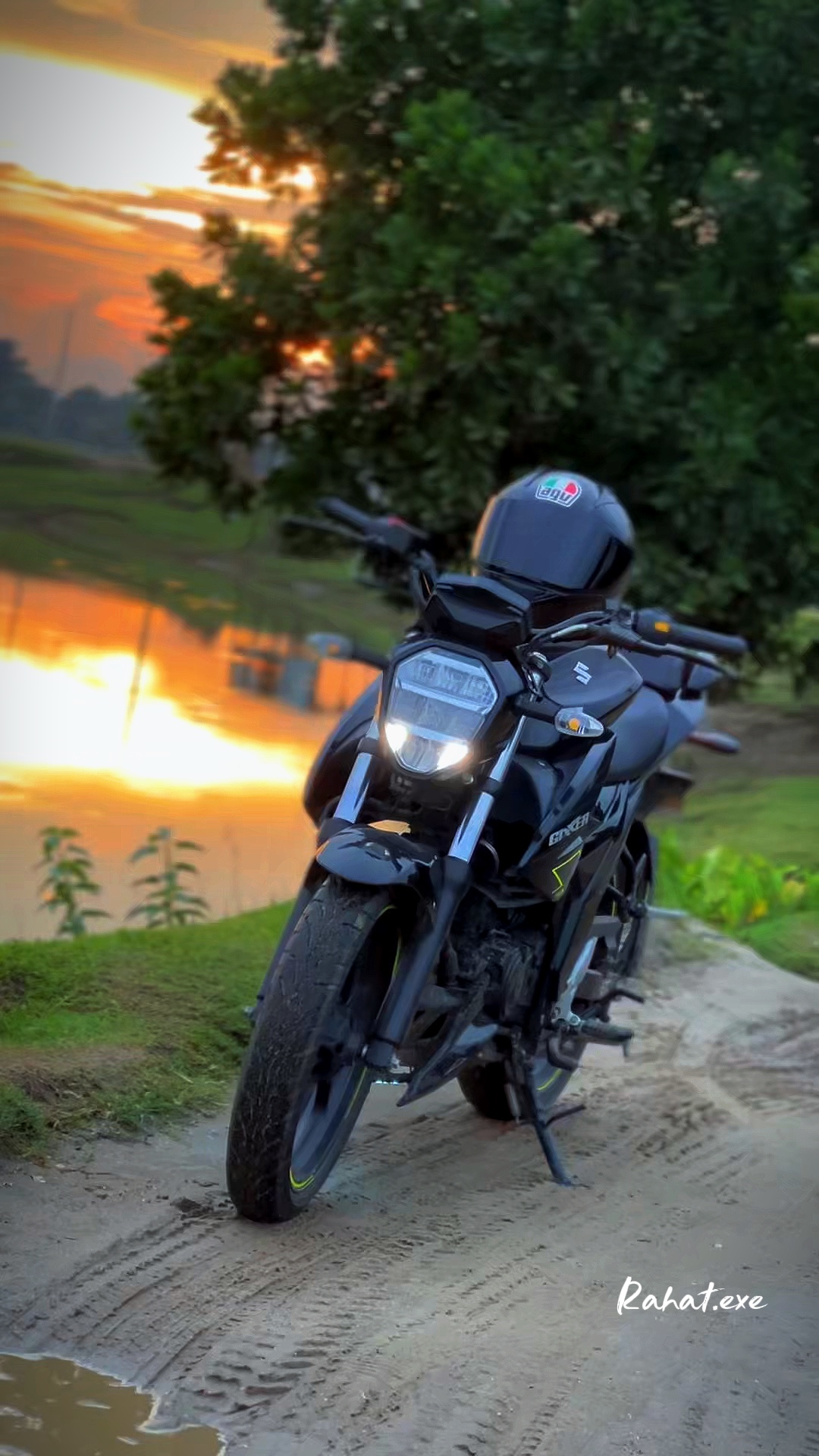 Cover Picture