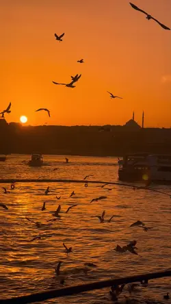 Yeni şablon slowmo 🍀