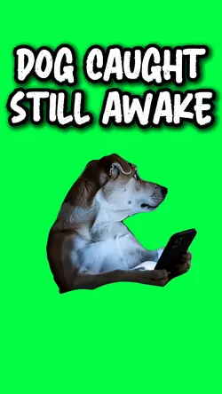DOG CAUGHT ON PHONE