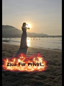 Ziua Fur Priviri...