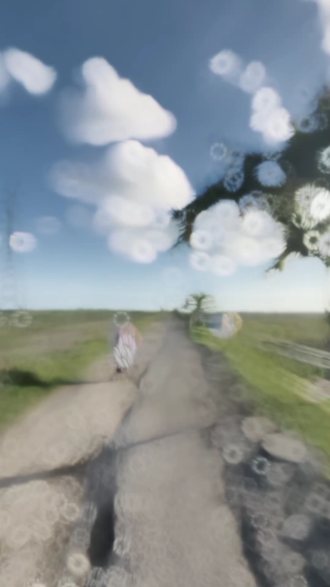 Slowmotion