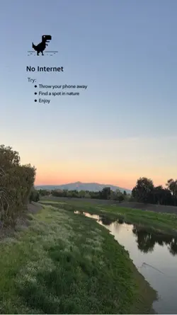 No internet 🦖