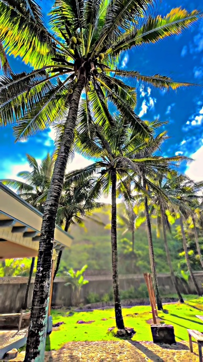 Filter iPhone hd