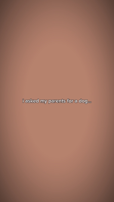 Name des Hundes