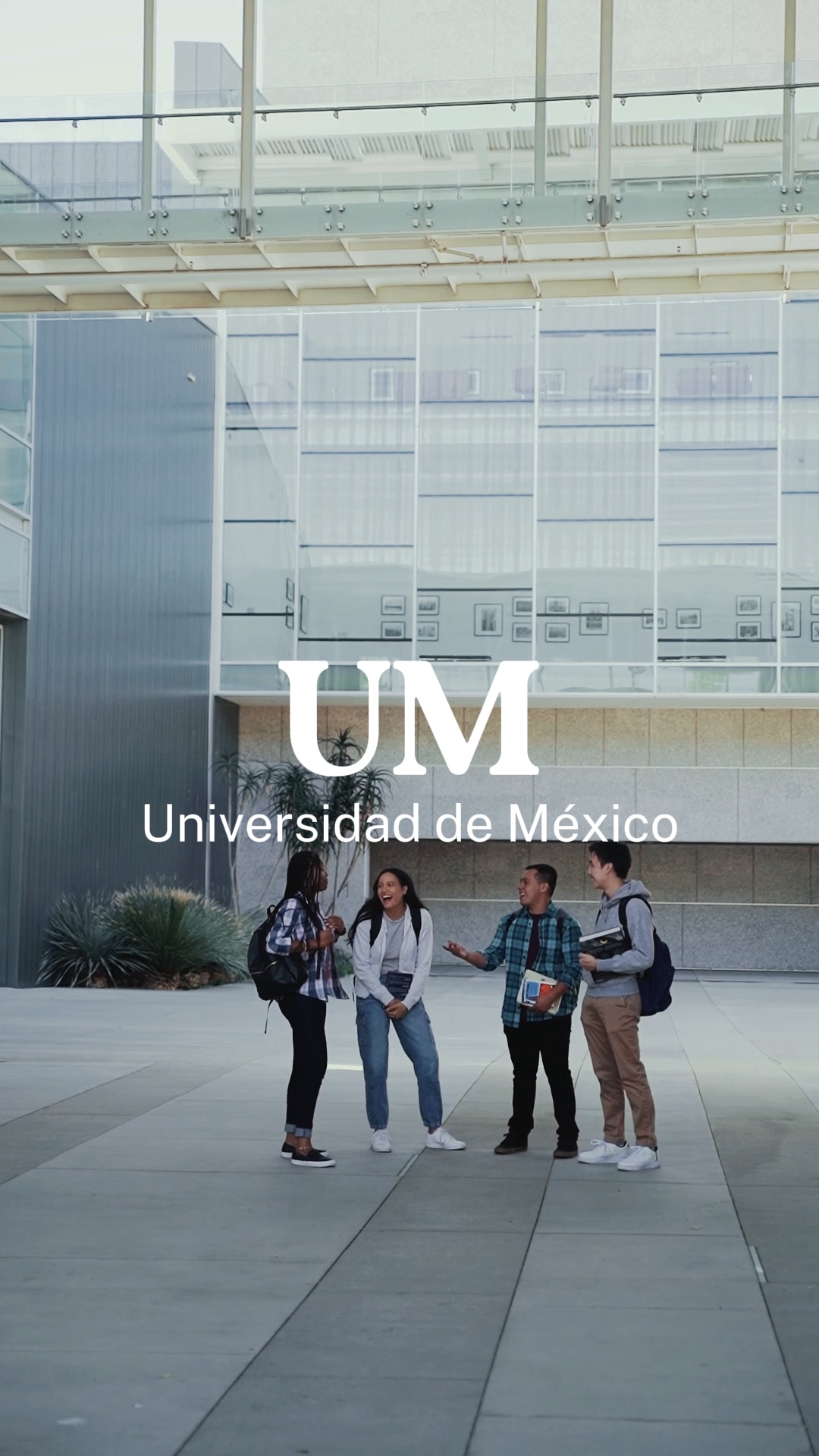 Universidade