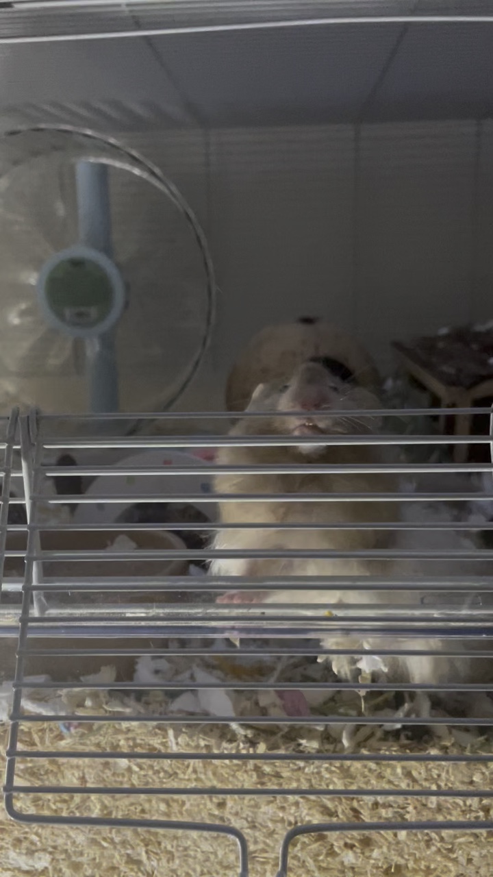 Mission accomplished