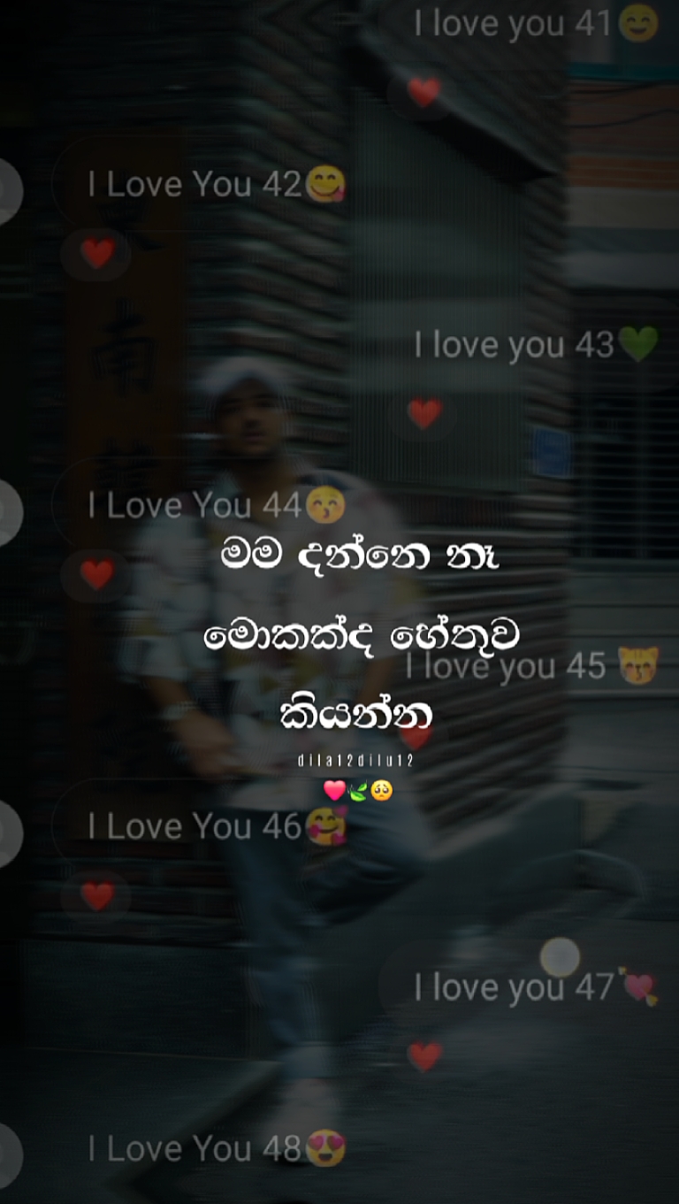 නොසැහෙන්න ආදරේ කලා