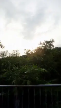 心在故鄉