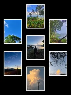7Pic Trend Aesthetic