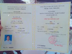 Trend học bằng lái 