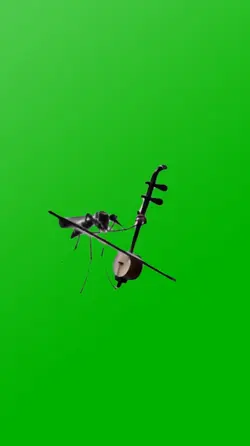Mosquito violin meme