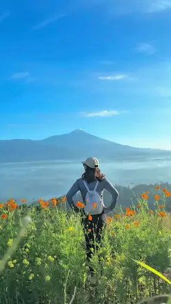 slowmotion