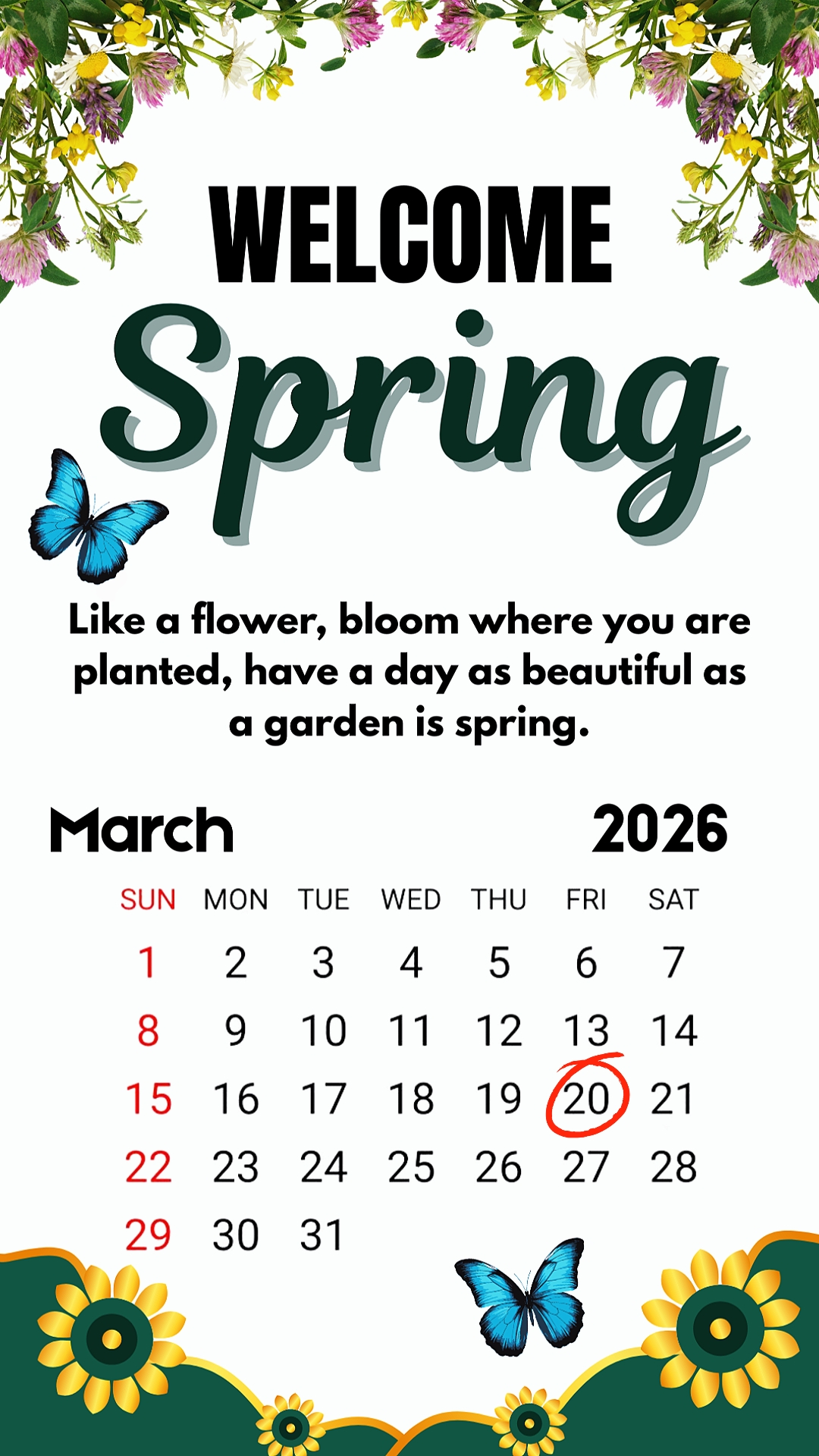 Hola Primavera 2026
