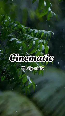 Cinematic 11 vidio 