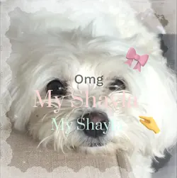 My Shayla ๐ฅน