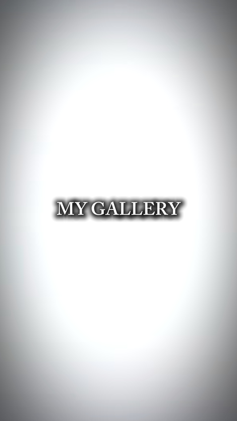 ma galerie 