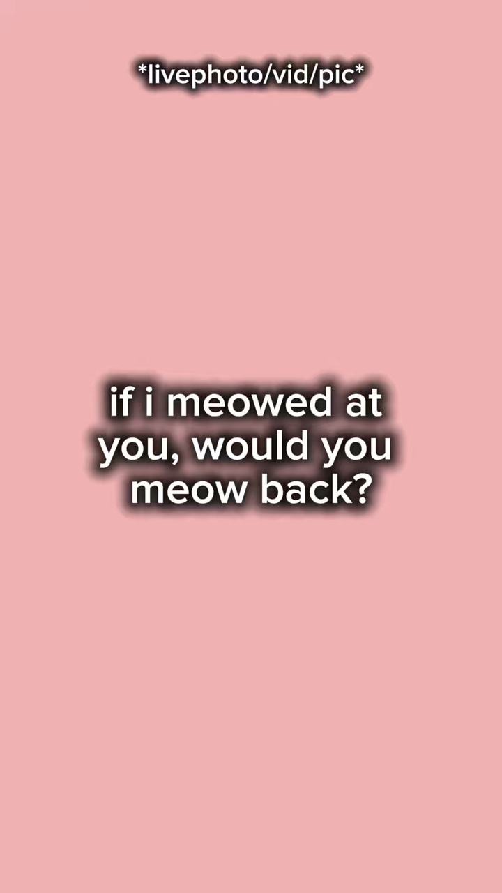 Meow back 