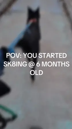SK8JORING
