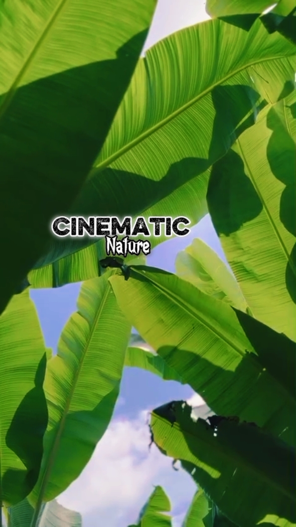Cinematic 8 Clips 